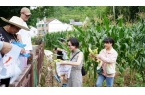 025“青野东行潮玩计划”点燃乡村青春活